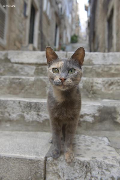 Dubrovnik