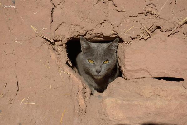 Aït Benhaddou