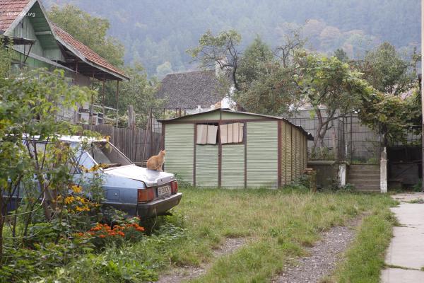 Brasov