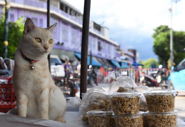 Uthai Thani